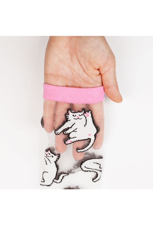 Chaussettes transparentes Chats