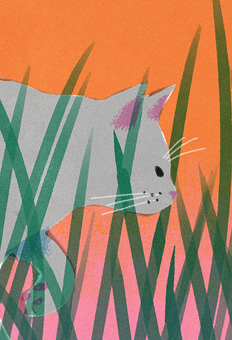 Chat