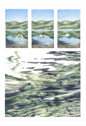 Petit plongeon