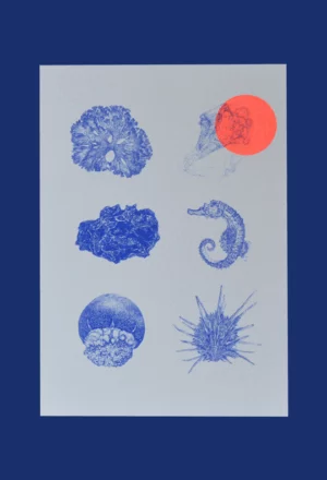 Bestiaire mini (exclu Oh! Mirettes)