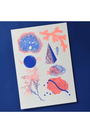 Natura (exclu Oh! Mirettes)
