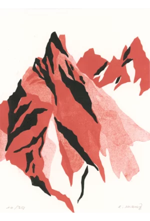 Le bec de la Blachière