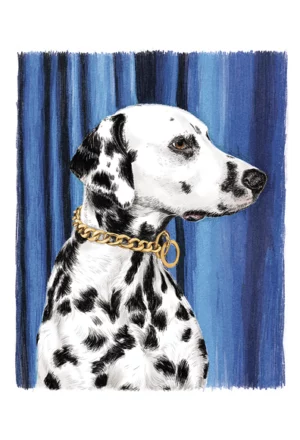 Royal canin