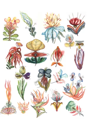 Fleurs d'imagination